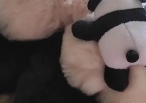 Fur Slides with Original Decor - 4/5