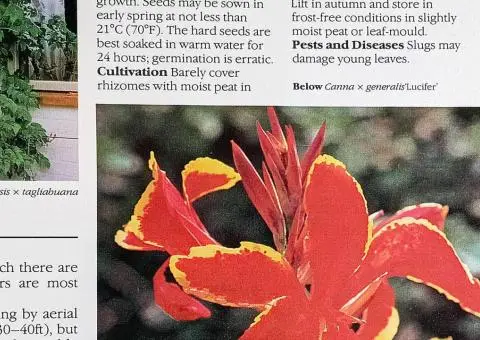 Книга-енциклопедія про садові рослини англійською мовою  A-Z of popular garden plants - 7/10