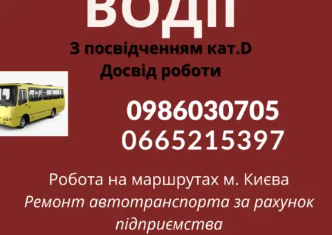 Водій категорії Д на маршрути
