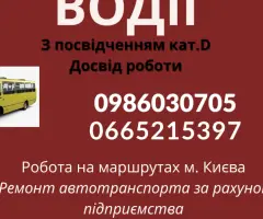 Водій категорії Д на маршрути