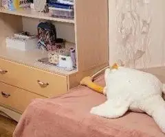 Меблі в дича кімната ліжко шафа стіл