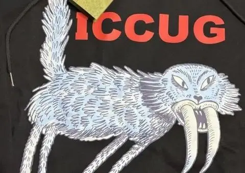 Gucci hoodie. - 2/3