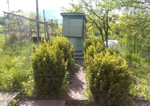 дача Обухївський р-н село Жукївцї - 6/10