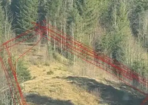 Приватна діоянка межує з лісом та струмком . - 1/3