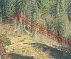 Приватна діоянка межує з лісом та струмком .