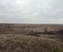 суборенда для зернотрейдер, 2026 рік