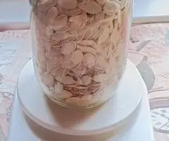 Гарбузове насіння Турка