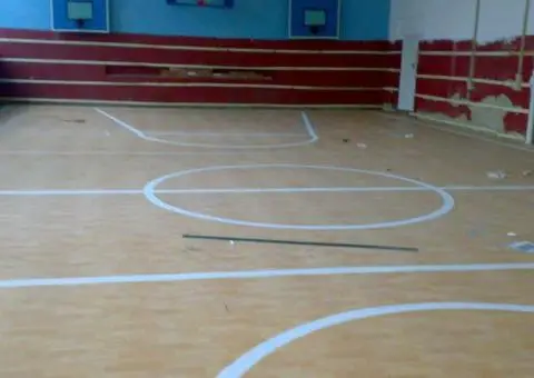 Спортивний лінолеум - 1/4