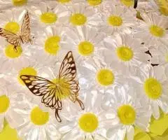 Кошик з ромашками