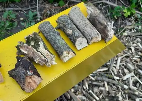 Виробництво. Садовий подрібнювач гілок.  Веткоруб. Гілкоруб. Січкарня. - 1/3