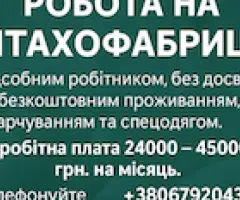 Робота різноробочим на птахофабрику (безкоштовне проживання, харчування)