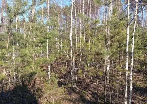 9.46 соток під будівництво в смт Клавдієво-Тарасове по провулку Шевчен - 1/3