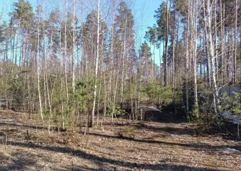 9.46 соток під будівництво в смт Клавдієво-Тарасове по провулку Шевчен - 3/3