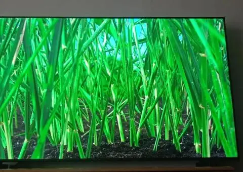 Телевізор Samsung 65 4K - 3/3