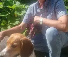 Шукаю безкошкоштовне житло, із Запоріжжя