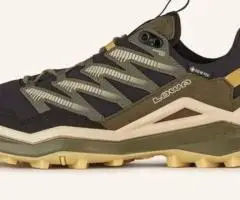 Вибір Кросівки Lowa  gore tex