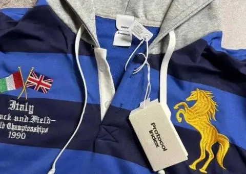 Protocol index fw25 stripe polo hoodie - 2/3