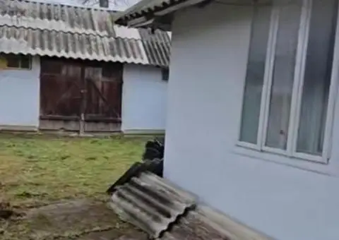 Хата мазанка у карпатах