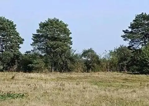 Земельна ділянка на трасі Київ - Варшава. - 2/3