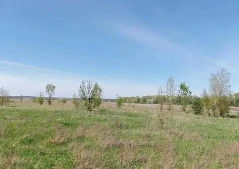 Земля під забудову 32 га, Білогородка - 3/3