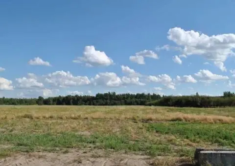 Затишна земельна ділянка біля лісу с.Діброва. - 1/3