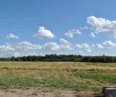 Затишна земельна ділянка біля лісу с.Діброва.