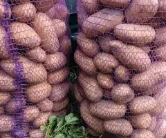 Продается собственный картофель. В наличии до 1 т