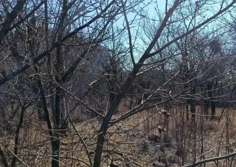 Продам участок Салтівка - 3/3