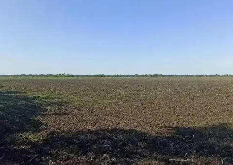 Продам земельну ділянку - ПАЙ 2 га Чернігівська обл, ЗЕМЛЯ НЕ В ОРЕНДІ
