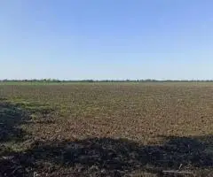 Продам земельну ділянку - ПАЙ 2 га Чернігівська обл, ЗЕМЛЯ НЕ В ОРЕНДІ