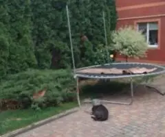 Здам комнату в частном доме