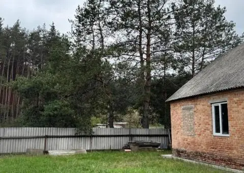 Продаж окремого будинку біля лісу - 7/10