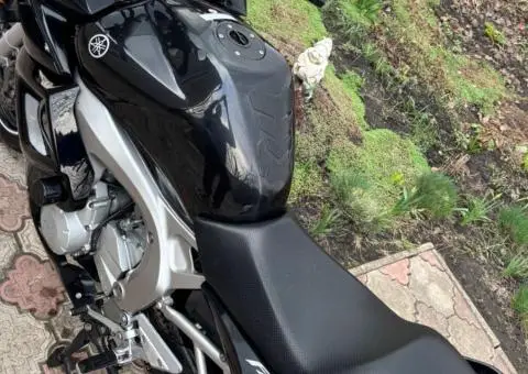 Yamaha fz6 2007 - 3/3