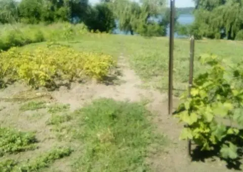 Продам будинок на березі Дніпра власний берег 25 соток землі - 5/9