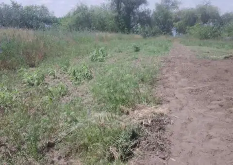 Продам будинок на березі Дніпра власний берег 25 соток землі - 7/9