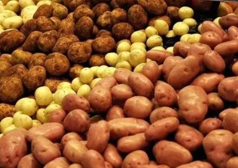 Насіннева Картопля - 3/3