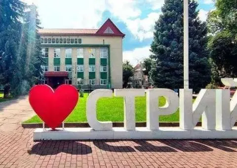 Торгова площа м.Стрий - 1/3