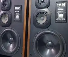 130 Вт Полична акустика/полочная  Arcus TM 95, 36 Кг!  б/у з Німеччини