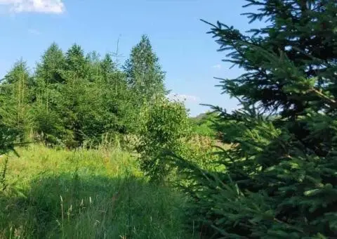 Продам ділянку 25с.під забудову Жорнівка вул.Ярова - 2/3