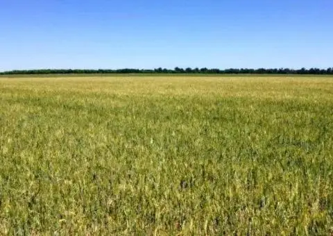 Продаж пая с/г призначення 8.44 га