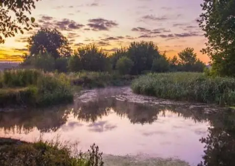 Терміново! ДІЛИМА видова ділянка 20 соток від власника! Новосілки, Фастівський р-н - 7/8