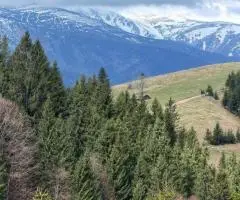 Земельна ділянка в Дземброні
