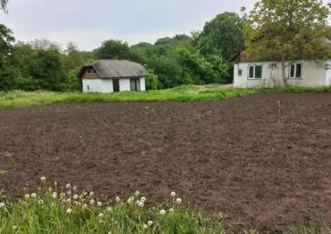 ПРОДАМ   земельну  ділянку, продаж, земля. - 1/3