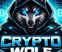 Телеграм-канал и юзернейм — cryptowolf
