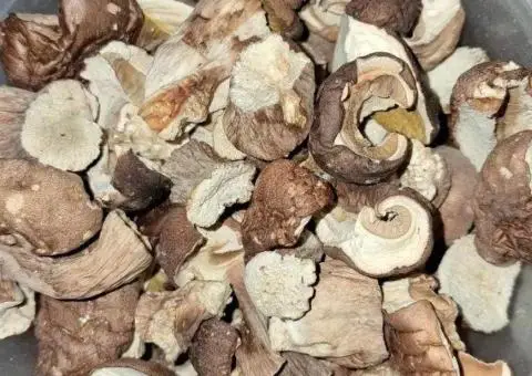 Сушені грибочки,неймовірно смачні - 2/3