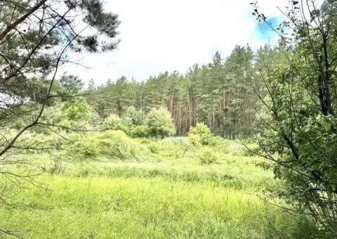Земельна ділянка під забудову! озеро! 4,5 га! Мотижин! - 3/3