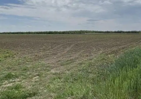 Продам ділянку 5.8 га біля житлового масиву - 3/3