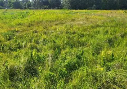 Земельна ділянка під забудову с.Прохорівка біля р.Дніпро