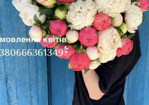 Пионы, півоніі на зріз, півонії - 3/3