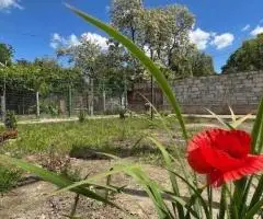 Продаж фасадної ділянки 4,67 сотки під забудову. Всі комунікації. Центр. ID:826